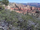 photo thumbnail #12