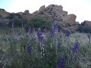 photo thumbnail #1