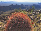 photo thumbnail #10