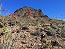 photo thumbnail #13