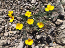 photo thumbnail #14
