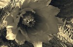photo thumbnail #13
