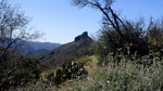 photo thumbnail #7