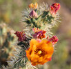 photo thumbnail #2