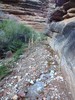 2015-03-19 :1: South Bass to Silver Bell via the Tonto Trail :: John9L