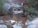 2015-03-19 :1: South Bass to Silver Bell via the Tonto Trail :: John9L