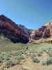 photo thumbnail #10