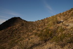 photo thumbnail #8