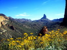 photo thumbnail #11