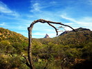 photo thumbnail #12