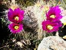 photo thumbnail #13