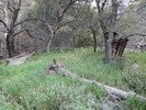 photo thumbnail #7