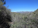 photo thumbnail #11