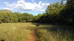 photo thumbnail #12