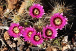 photo thumbnail #7