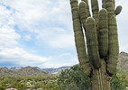 photo thumbnail #1