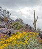photo thumbnail #6