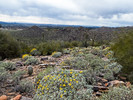 photo thumbnail #8