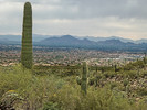 photo thumbnail #12