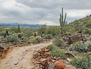 photo thumbnail #13