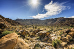 photo thumbnail #8
