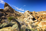 photo thumbnail #11