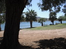 photo thumbnail #10