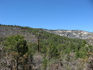 photo thumbnail #6