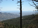 photo thumbnail #7