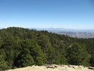 photo thumbnail #11