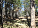 photo thumbnail #15