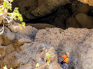 photo thumbnail #14