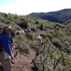 photo thumbnail #6