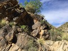photo thumbnail #4