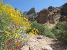 photo thumbnail #1