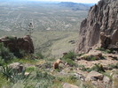 photo thumbnail #7