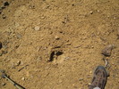photo thumbnail #12
