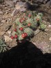 photo thumbnail #1