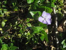 photo thumbnail #11