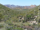 2015-03-26 :1: Superstition Getaway - Day 1 :: AZWanderingBear