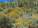 photo thumbnail #15