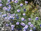 photo thumbnail #10