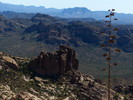 photo thumbnail #11