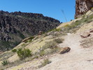 photo thumbnail #14