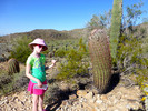 photo thumbnail #3