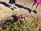 photo thumbnail #6