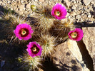 photo thumbnail #7