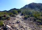 photo thumbnail #9