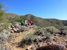 photo thumbnail #11