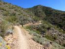 photo thumbnail #14